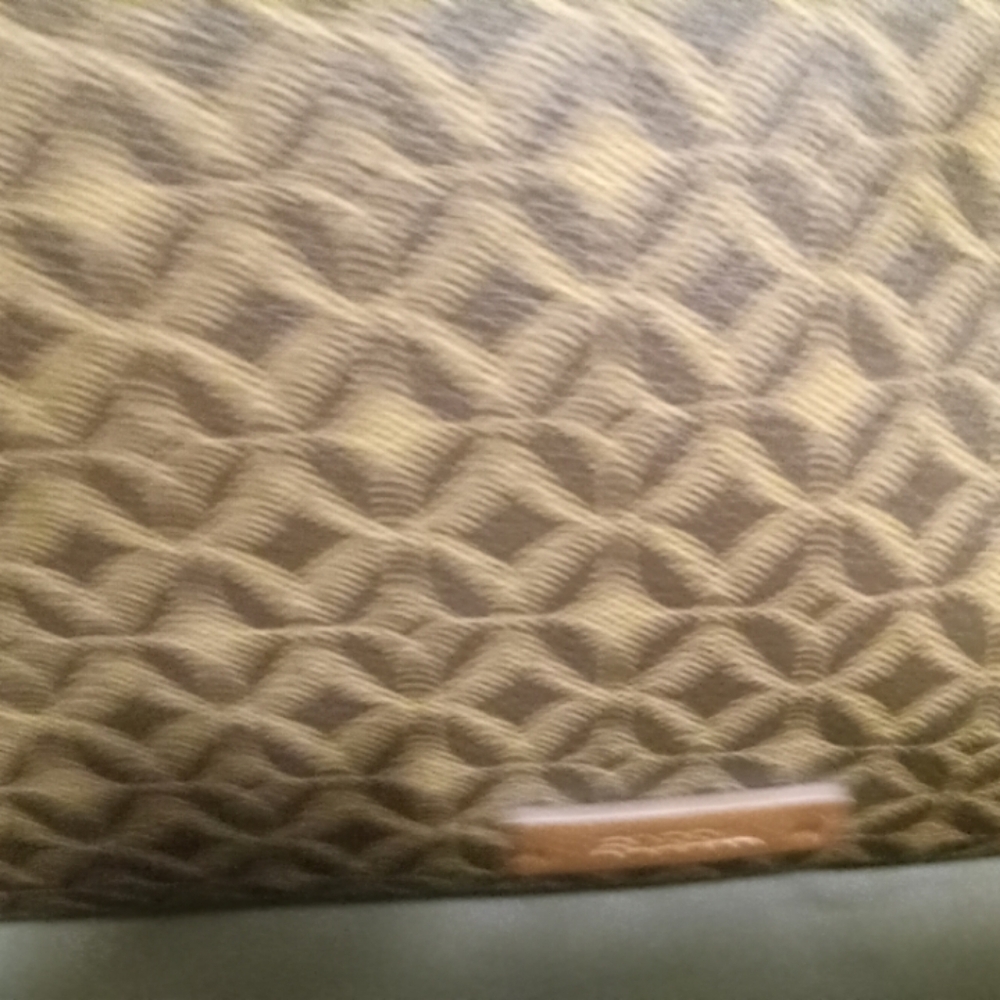 Fossil purse